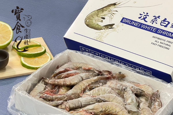 汶萊白蝦、汶萊蝦皇