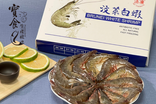 汶萊白蝦、汶萊蝦皇